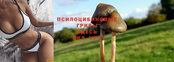 трава Абдулино