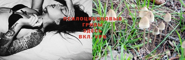 трава Абдулино
