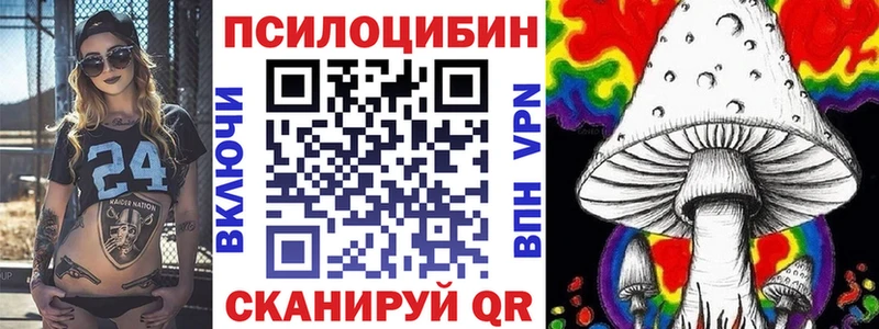 цены наркотик  Щучье  Галлюциногенные грибы MAGIC MUSHROOMS 
